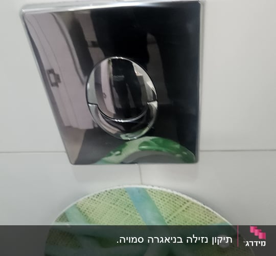 Flush button and toilet seat with starfish design